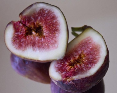 Инжир "Сабруция"