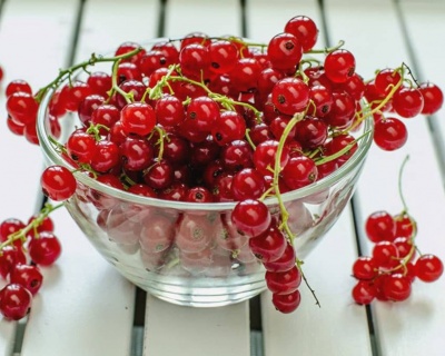 Смородина "Йонкер Ван Тетс"