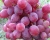 Виноград "Минский розовый"