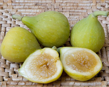 Инжир "Кадота"