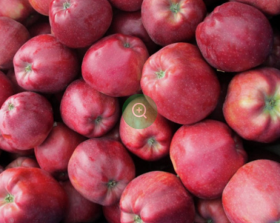 Яблоня "Глостер"