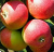 Яблоня "Дискавери" 